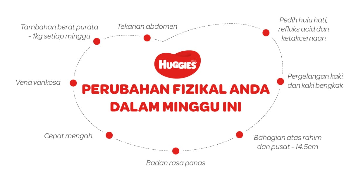 Perubahan Fizikal Ibu Mengandung 34 Minggu | Huggies Malaysia